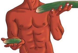 result of penis enlargement on the example of cucumber